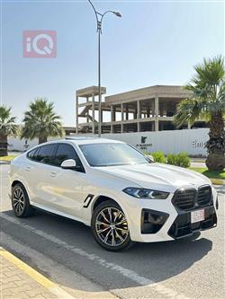 بي ام دبليو X6